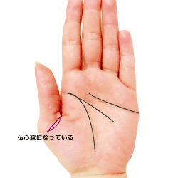 子宝に恵まれる手相 子宝線とは？産まれる年齢や子の人数 - zired