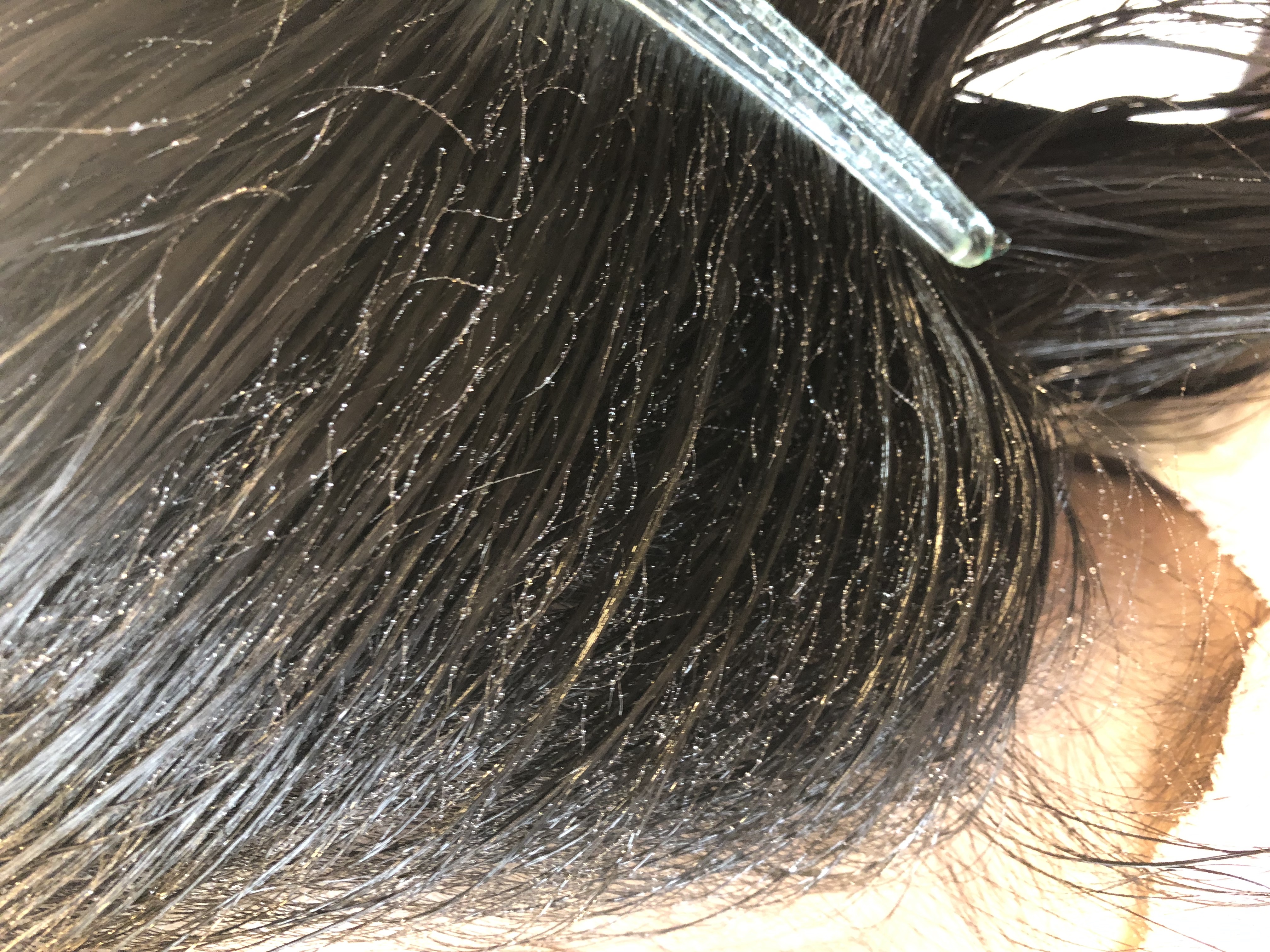 ヘアドライ専用タオル「ぱすたお」使用レビュー！親子で楽しく髪を乾かすnishikawaのタオルメディア『タオルト』