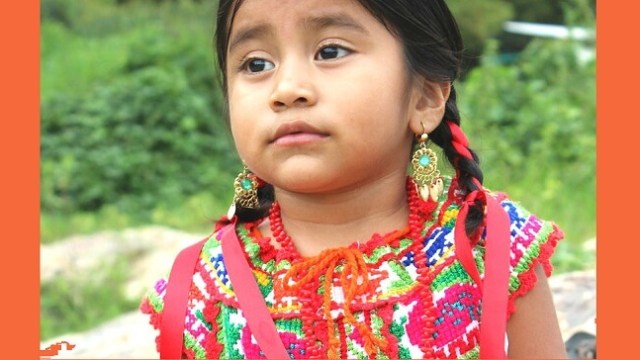 メキシカンスカート民族衣装メキシコ舞踊フォークダンスダンススカート独立記念日