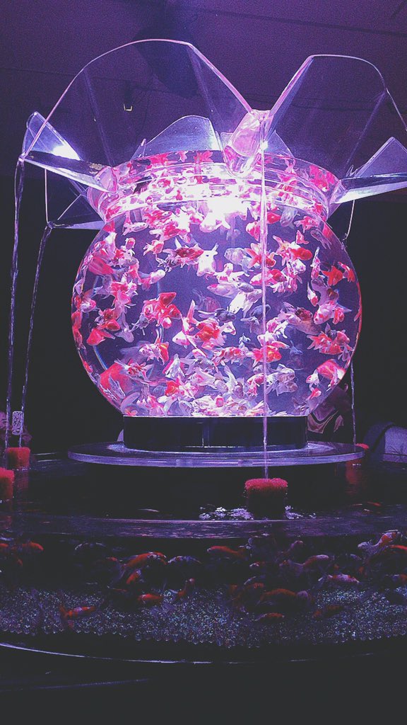 木村拓哉、東映70周年記念作品で綾瀬はるかと共演 総製作費20億円 « 映画ランドNEWS