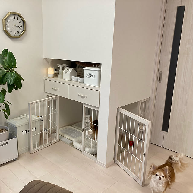 犬とストレスフリーに暮らす家、とっておきの間取りアイデア8選クラフト