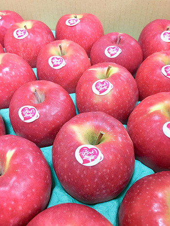 りんご娘、TIFで全国優勝 4人でつかんだ優勝の秘話 - 弘前経済新聞