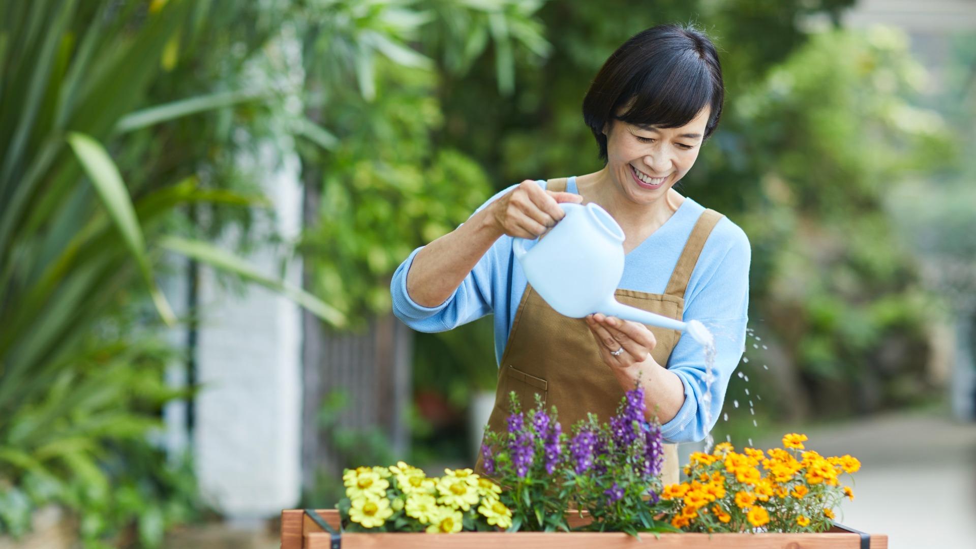 おばあちゃんが趣味がないと感じる理由と老後に始めたい楽しみ方介護ウィーク
