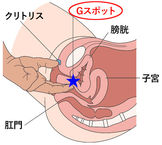 50%OFF】男の子だって中イキしたい!〜お腹がじんわり温かくなる♀イキ精嚢オーガズム〜 [空心菜館] |