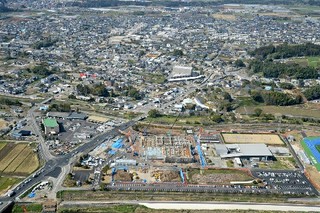 専門家はいい加減なことを言う - IRO☆IRO