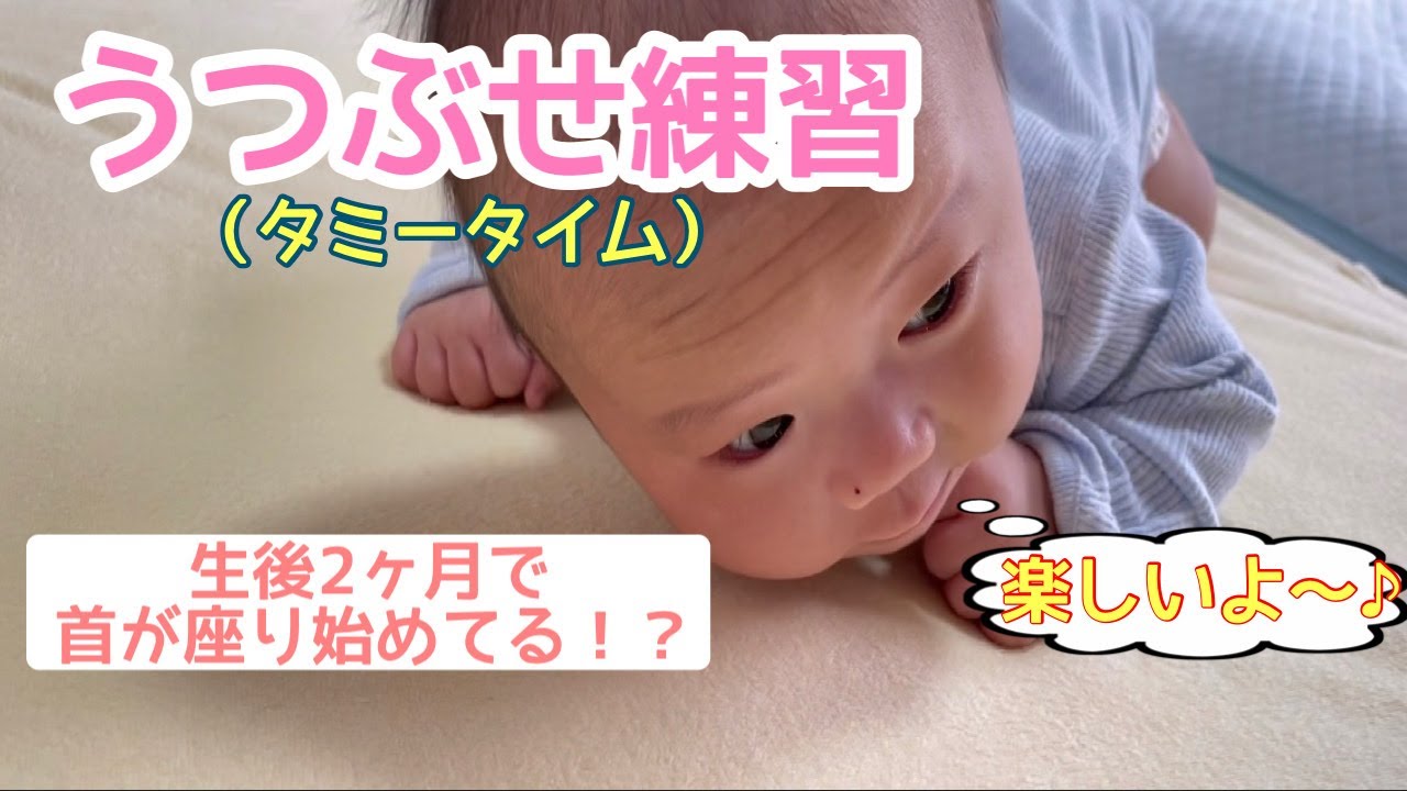 楽天市場 腹ばいの通販