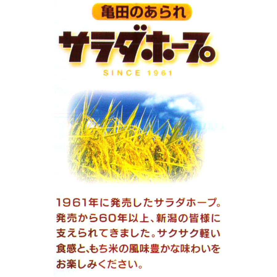 9/12無料生配信ライブ決定！『THE PYRAMID』|ホープミュージック株式会社