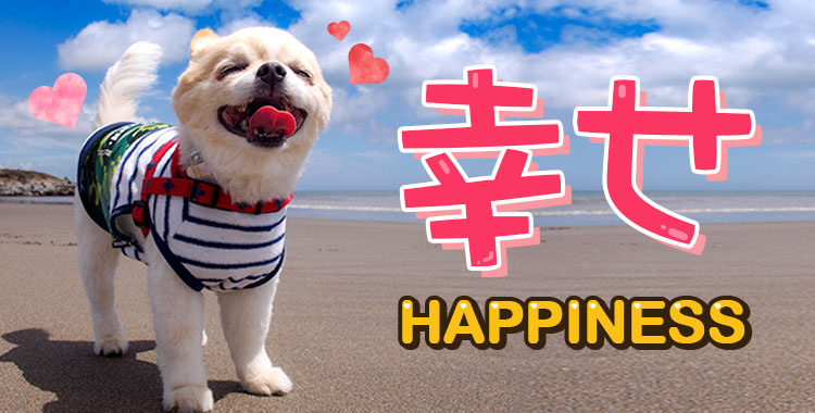 家族・友人・知人に贈りたい英語の新年メッセージ「10選」 - ENGLISH JOURNAL