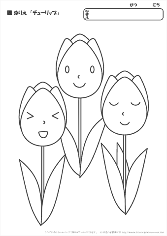 花のぬりえ特集子供も高齢者も楽しめるかわいい＆リアルな無料ダウンロード