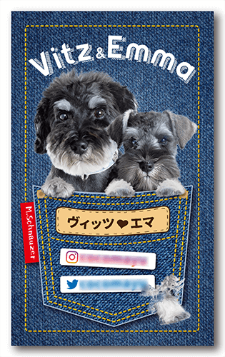 ペット名刺のもふり堂@mofurido• Instagram photos and videos