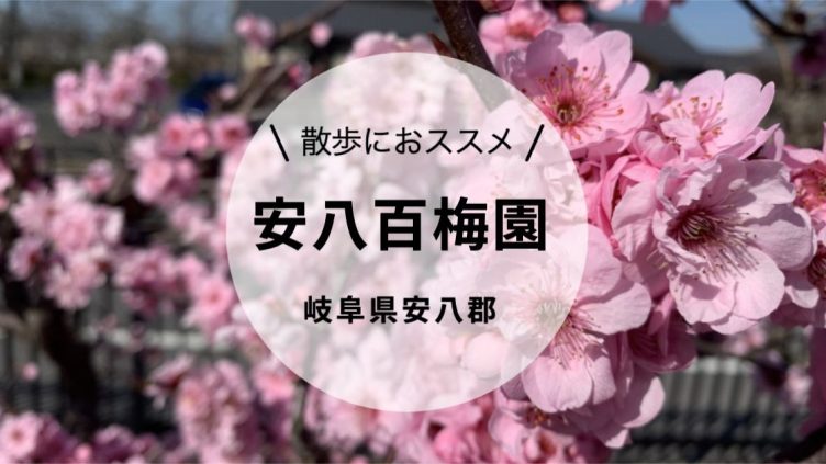 満開の桜: 元我孫子市議会議員 印南宏のブログ