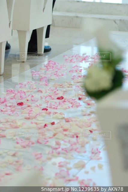 ウェディングロードの写真素材写真素材なら「写真AC」無料 フリー ダウンロードOK