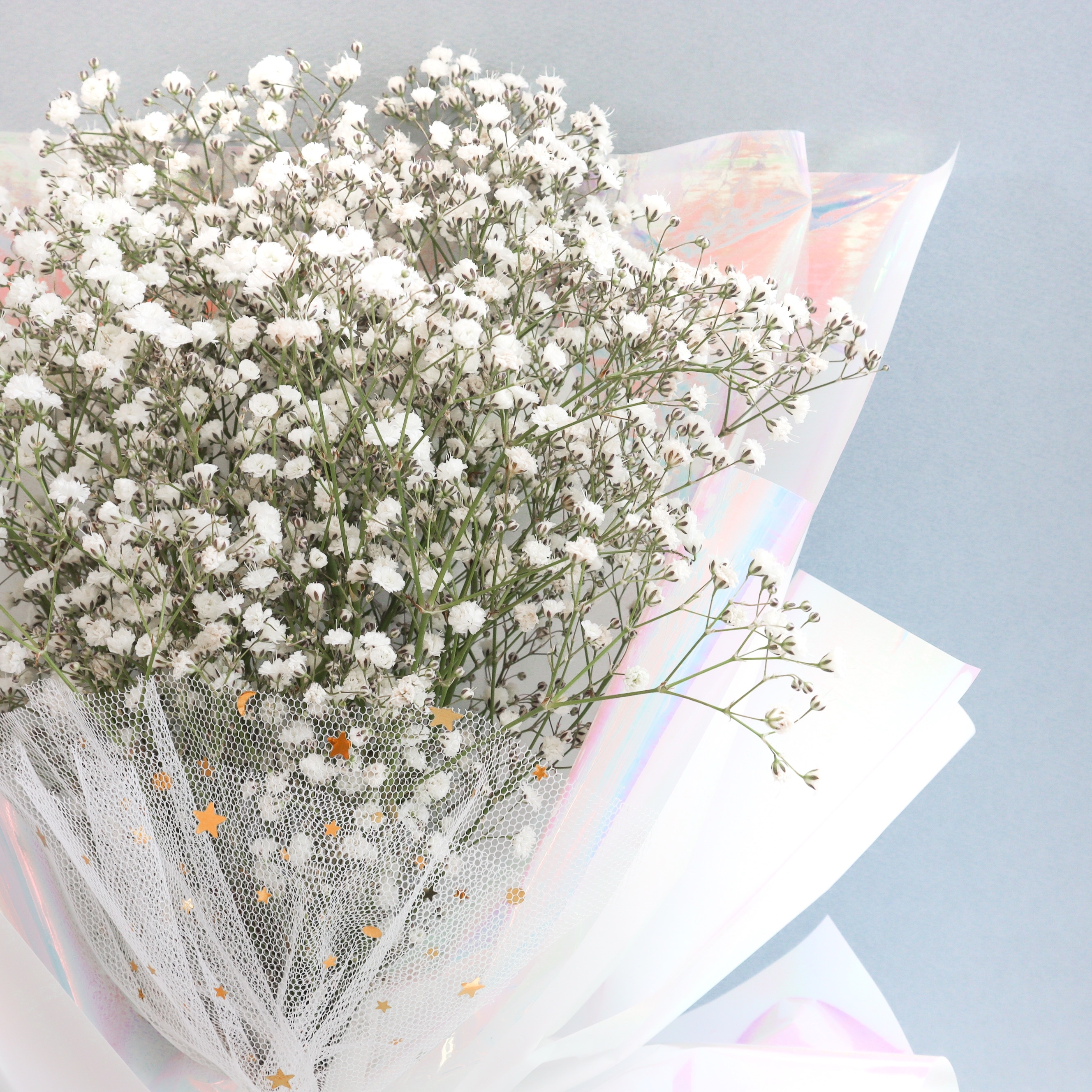 商品一覧カスミソウ かすみ草 の花束・ブーケギフト・インテリア・雑貨のECサイト 通信販売