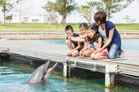 実りの里保育園 沖縄県名護市すみれ組2歳児クラスとも約束していた川遊び♫ 憧れの黄色い園バスにも乗ったから、気分は最高♫園に戻ると、ありがとう〜♫と何人ものすみれ組さんから感謝の言葉と笑顔をいただきました♫ □沖縄で働きたい保育士さん大募集
