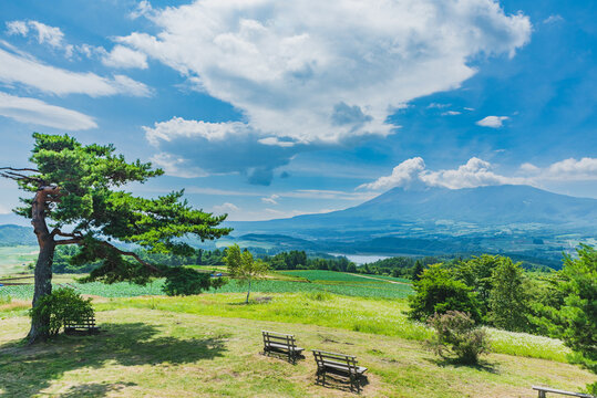 愛妻の丘一社嬬恋村観光協会