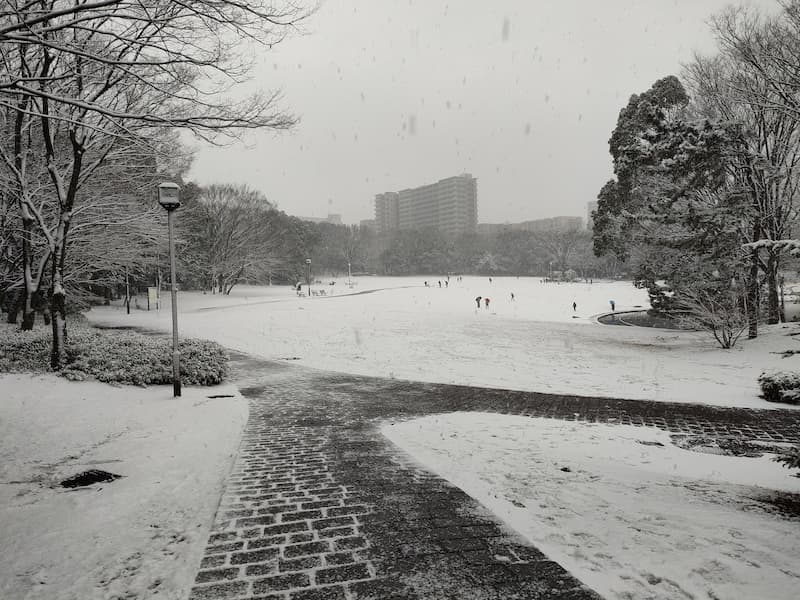 銀世界】大雪降る「多摩ニュータウン」を巡ってみた – 多摩ポン