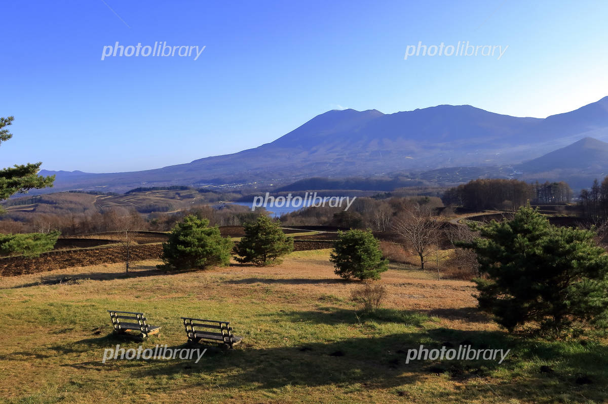 嬬恋村・愛妻の丘 で愛犬への愛を叫ぶつつじろぐ