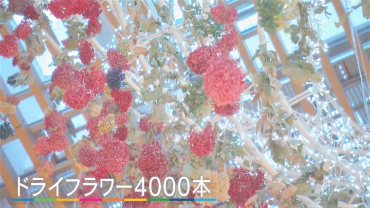 3割が廃棄！？フラワーロス削減におすすめのサービス3選rootus ルータス