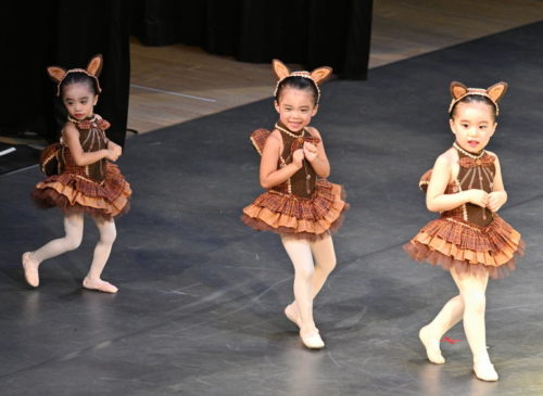 カリキュラム・料金 - 子供バレエ シェリバレエスクール