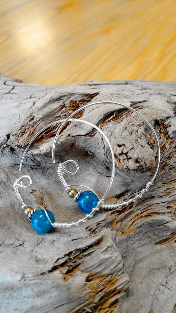 ブルーアイ：青い瞳の起源と遺伝子