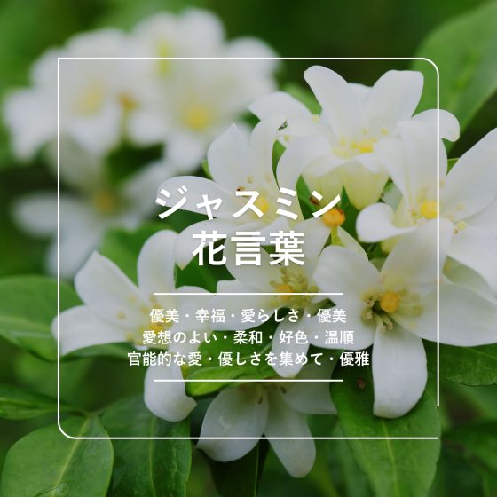 4月の誕生日には花を送ろう！アルストロメリアについてご紹介