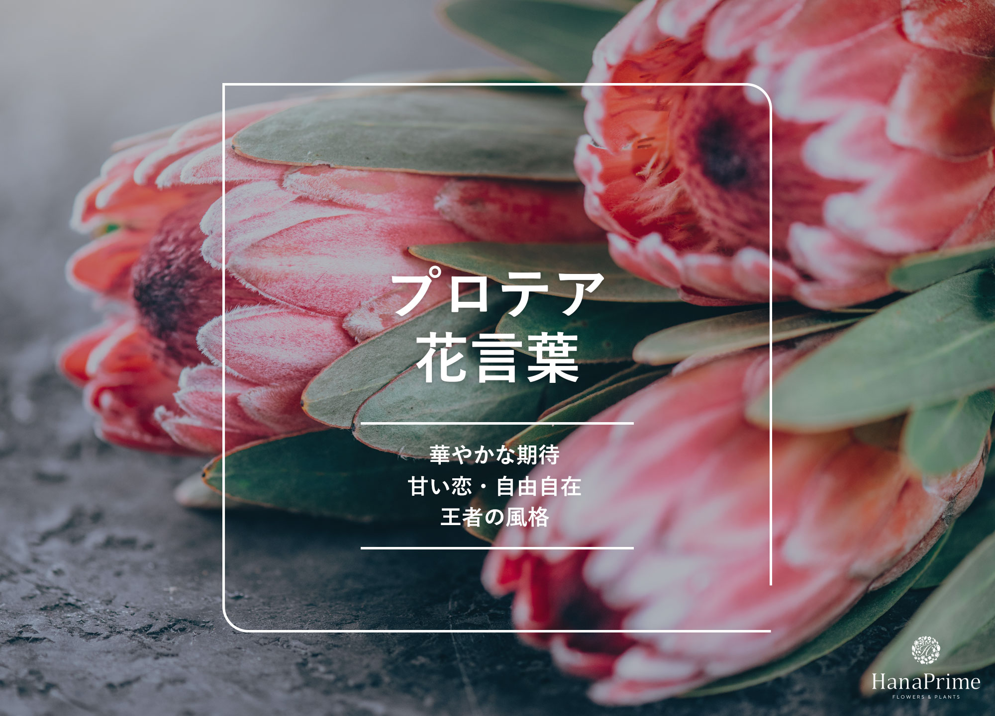 花とゆめ9月新刊キャンペーン│電子書籍ストア - BOOK☆WALKER