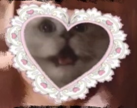 顔隠し エフェクト 猫TikTok