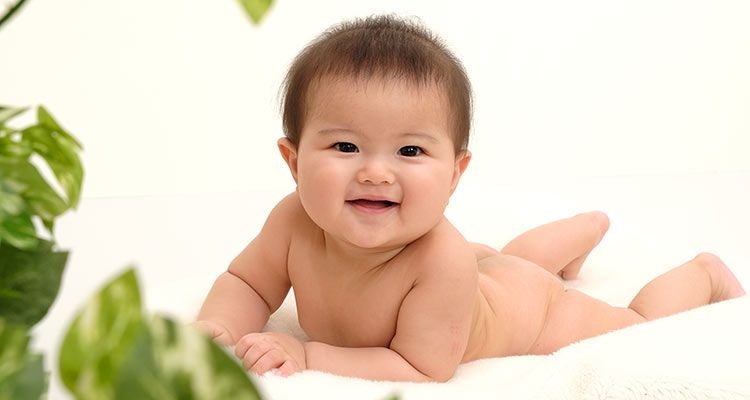 生後半年のハーフバースデーは何をする？お祝い写真や飾り・離乳食ケーキ こども写真館プレシュスタジオ