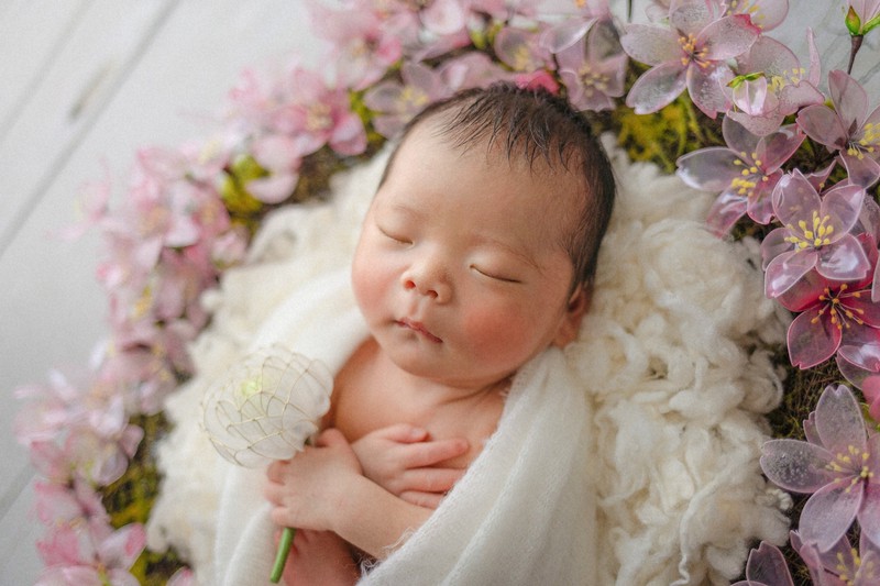 生まれたての赤ちゃんの写真素材FYI01605553ストックフォトの Qlean Market キュリンマーケット