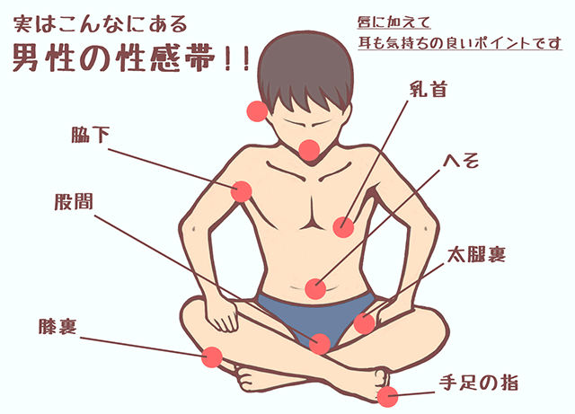 男性の性感帯はどこ？ 気持ちいい場所と上手に刺激する方法【医師監修】｜「マイナビウーマン」