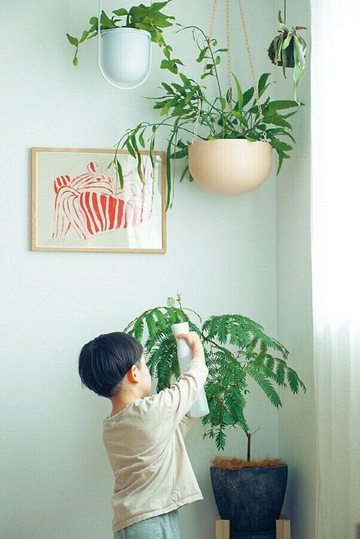 開運風水＋観葉植物 家に調和と活力をもたらす、おすすめグリーン17