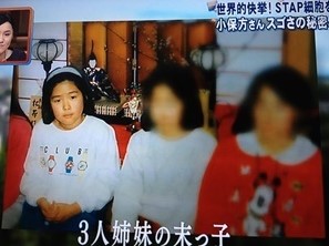 笹井氏 10日前から議論が成立せず 芸能 デイリースポーツ online