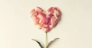 予算5000円 結婚祝いのおしゃれなプレゼント13選！ハイセンスで人気なプレゼントを厳選MAGAZINETHE GIFT SHOPHYACCA ヒャッカ