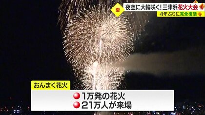 野党失策し民意離れる 反自民票取り込めず：中日新聞Web
