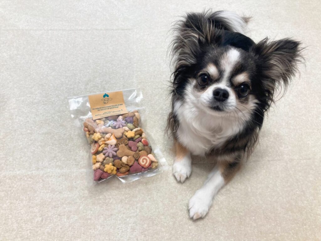 Amazon犬用 ケーキ 無添加さつまいものワンワンケーキ犬 誕生日 プレゼント バースデー 小型犬 中型犬 米粉IdeadogchefIdea dog chefビスケット・クッキー・スナック 通販