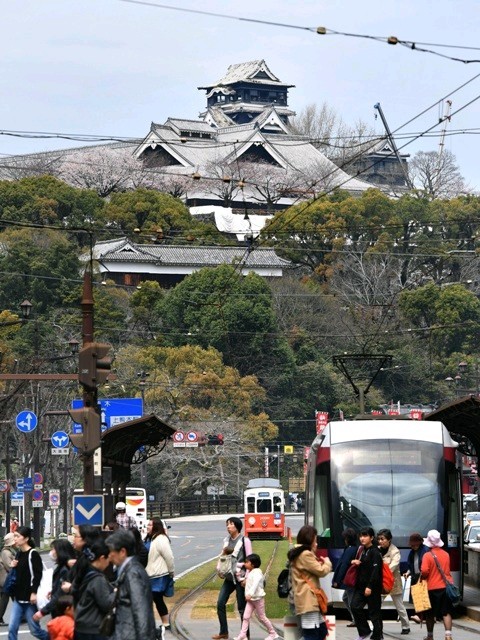 熊本市電幹線通町筋駅／ホームメイト