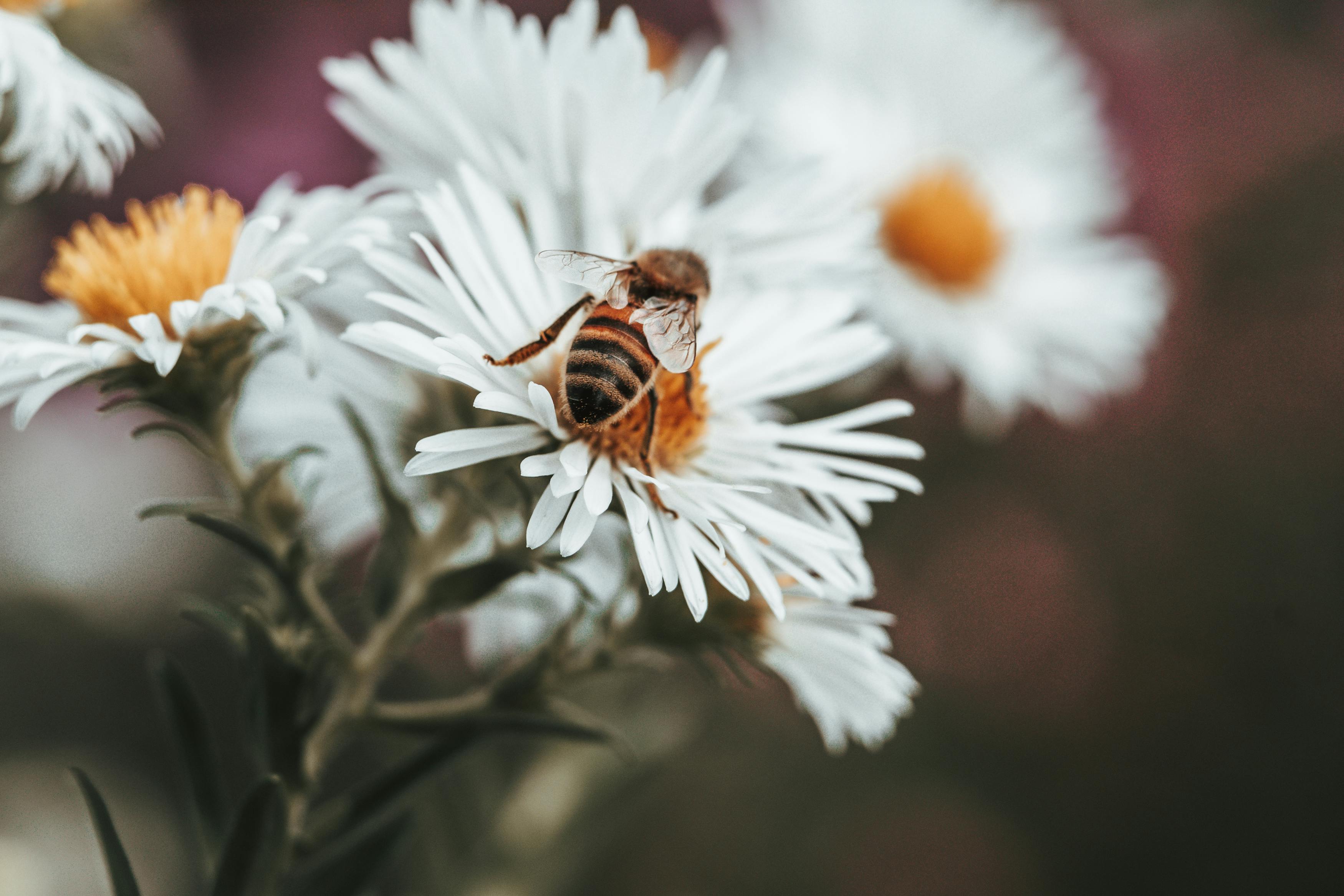 見よ!! 衝撃の六十路妻特- フォト蔵