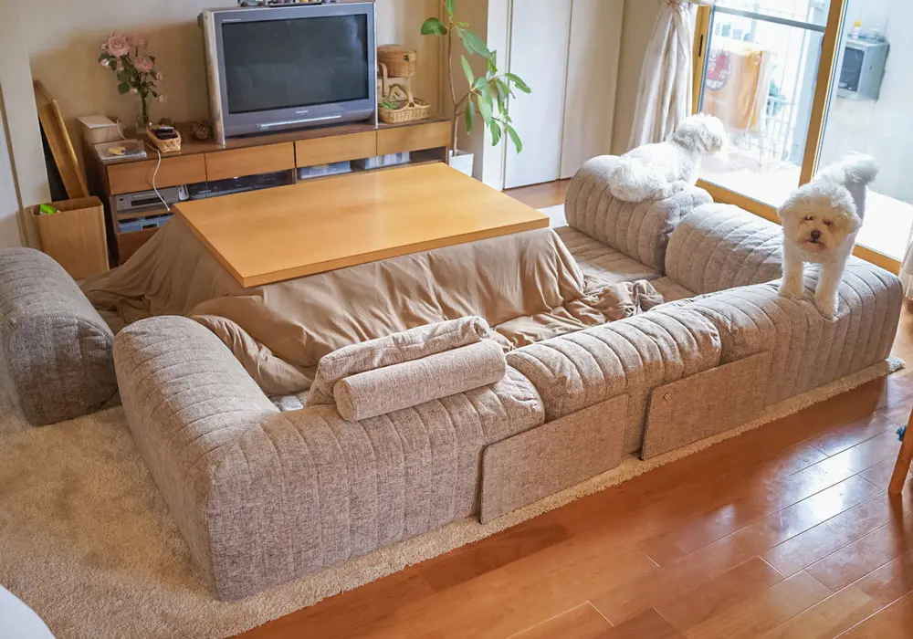 こたつあり子供部屋2人TikTok