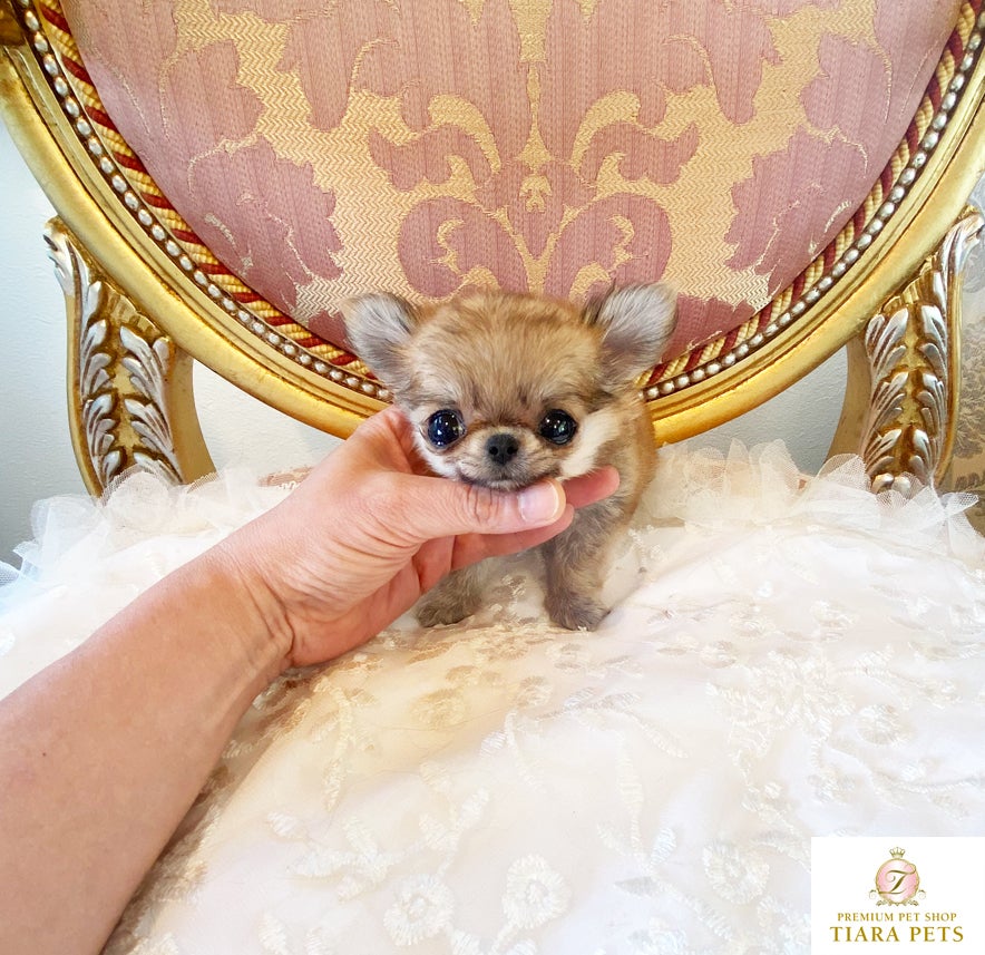 ベビー 帽子 耳付き くま耳 バンビ 男の子 女の子 ニット帽 赤ちゃん 秋冬 かわいい 動物 MILASIC ポイント消化 : mitas - 通販- Yahoo!ショッピング