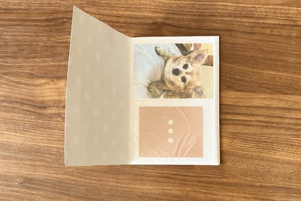 100均アレンジ 手作り卒園アルバム・メッセージカードのかわい過ぎるデザイン７選！＋αのアイデア 記念日アルバム作り方– スクラップブッキング101