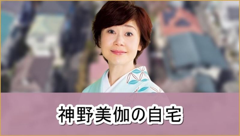 写真 2 3枚 テレビ朝日提供 神野美伽：歌手生活40周年を前に人生最大のピンチ 自宅の岩盤浴で体調回復を図る 「徹子の部屋」で-MANTANWEB まんたんウェブ