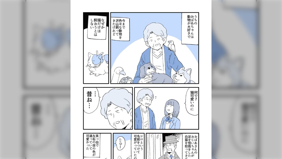 7歳息子の自由研究「愛犬はどうしてこんなにかわいいのか」に大反響 おばあちゃんワンコとの暮らしを見つめたレポートに感動の声 1 2ねとらぼ