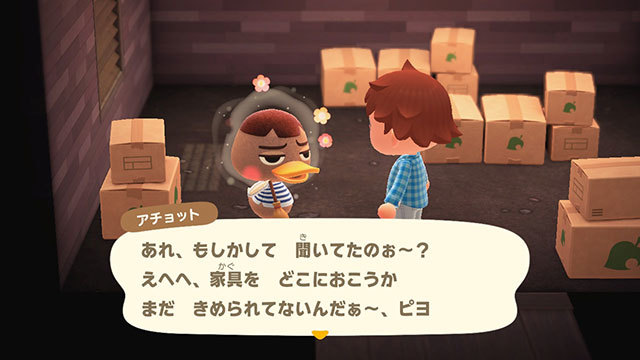 あつ森 アチョットの誕生日と性格 あつまれどうぶつの森 ゲームエイト