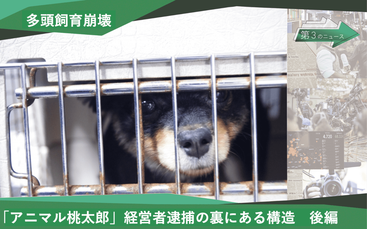 桃太郎の豆知識 なぜ猿・キジ・犬は鬼が退治できる⁉Manga de Japan