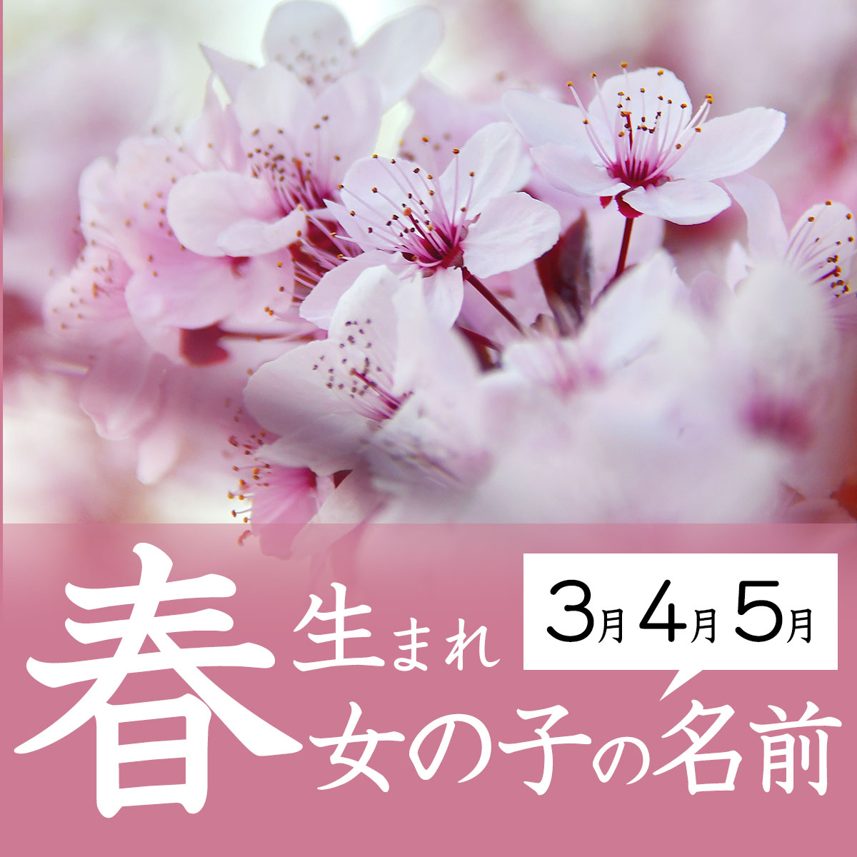 花の名前を使った女の子の名付け240選 桜、葵、向日葵、etc- 名付けポン