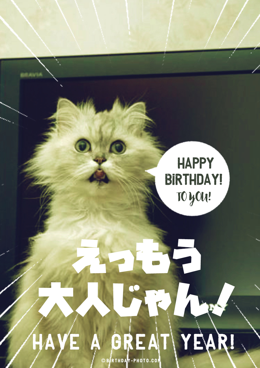 AmazonPATIKIL 20歳 誕生日カード ポップアウト誕生日カードギフトカード 面白いハッピーバースデー 可愛い3Dご挨拶カードと封筒付き 女性へ ギフト ゴー ルド箔グリーティングカード文房具・オフィス用品