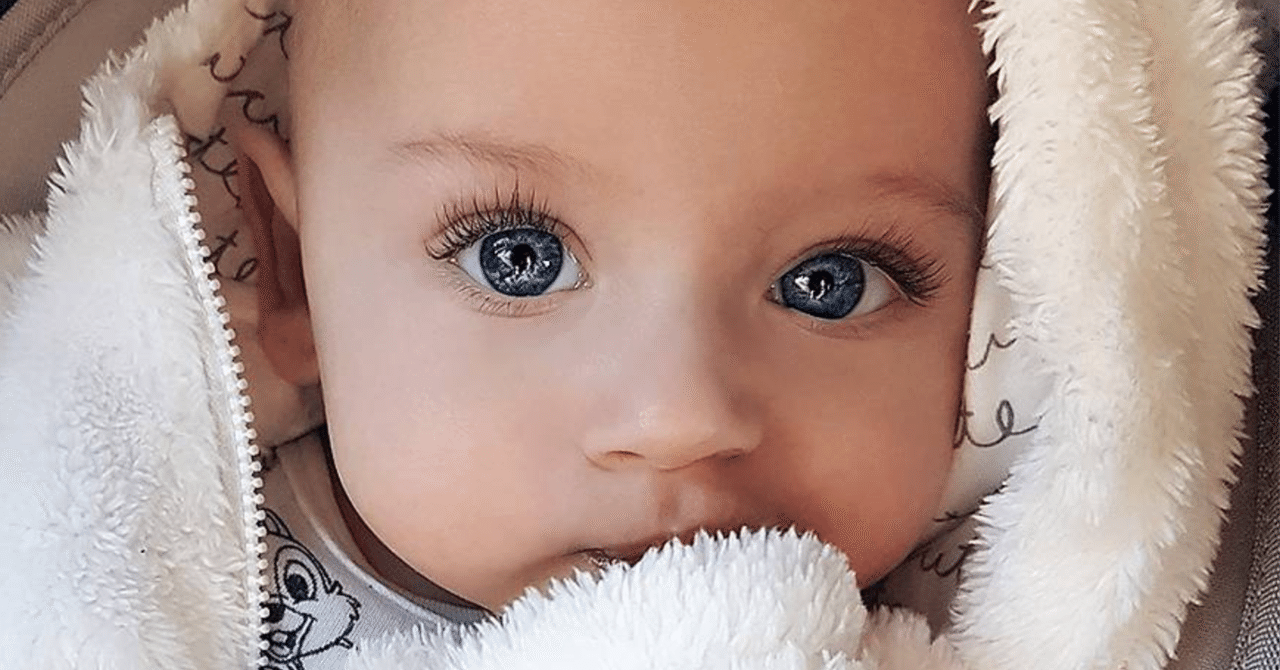 世界1可愛い人って誰