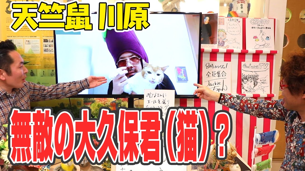 天竺鼠が東京でお寿司や将棋などベストネタ、リクエストはノブ、蛍原、津田ら - お笑いナタリ