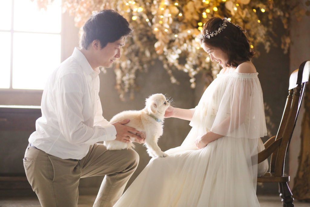 ワンちゃんとマタニティ🤰フォト かりんちゃんがマタニティフォトに来てくれました☺️💕ワンちゃんたちにとってもお姉ちゃん、お兄ちゃんになるんですもんね🥹 ヘアメイクをして撮影をしております♪マタニティフォト山梨マタニティフォトワンちゃんとマタニティ