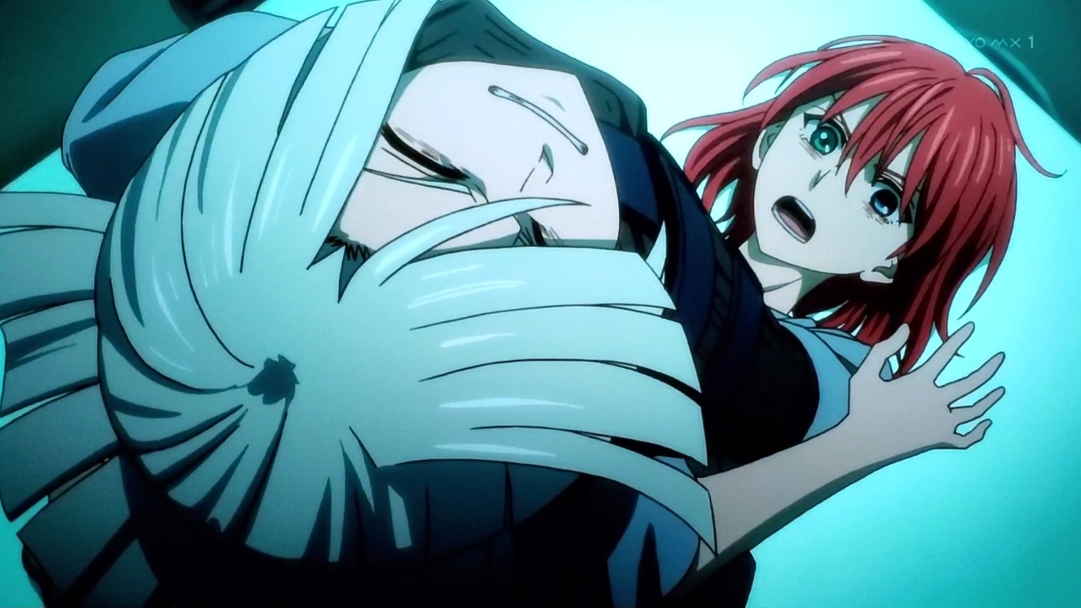 タグ：魔法使いの嫁│日陰の歩き方